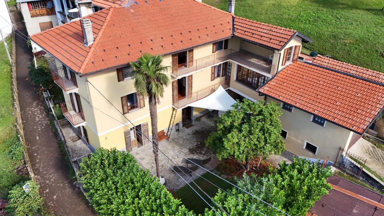 Antico Di Cavaglia Sterna *